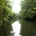 We are Seeking a Consultant to Help Update the Bronx River Watershed Management Plan