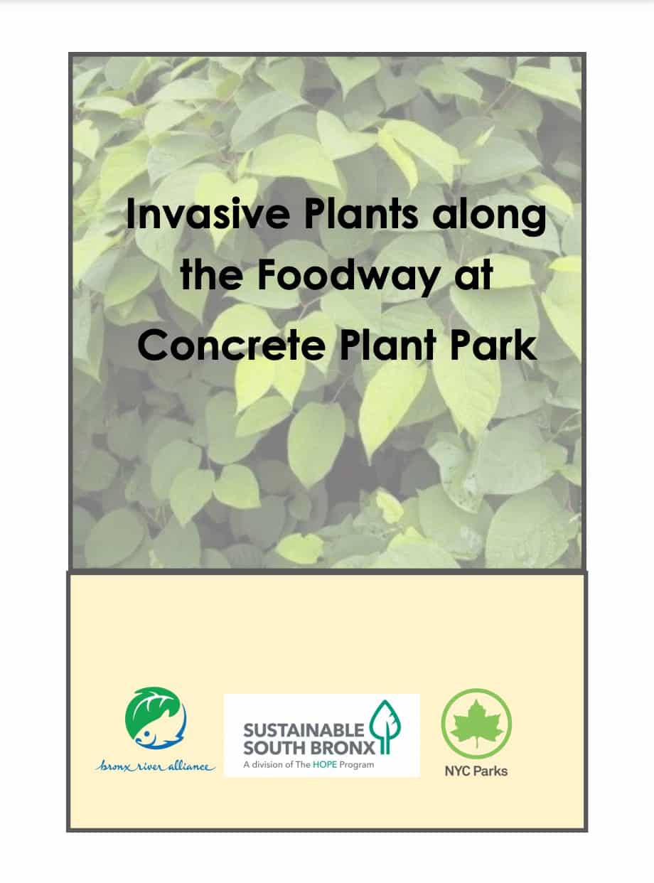 Guide to Invasive Plants of the Foodway