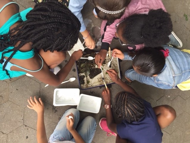 School-Group-Project-Bronx River Curriculum photo