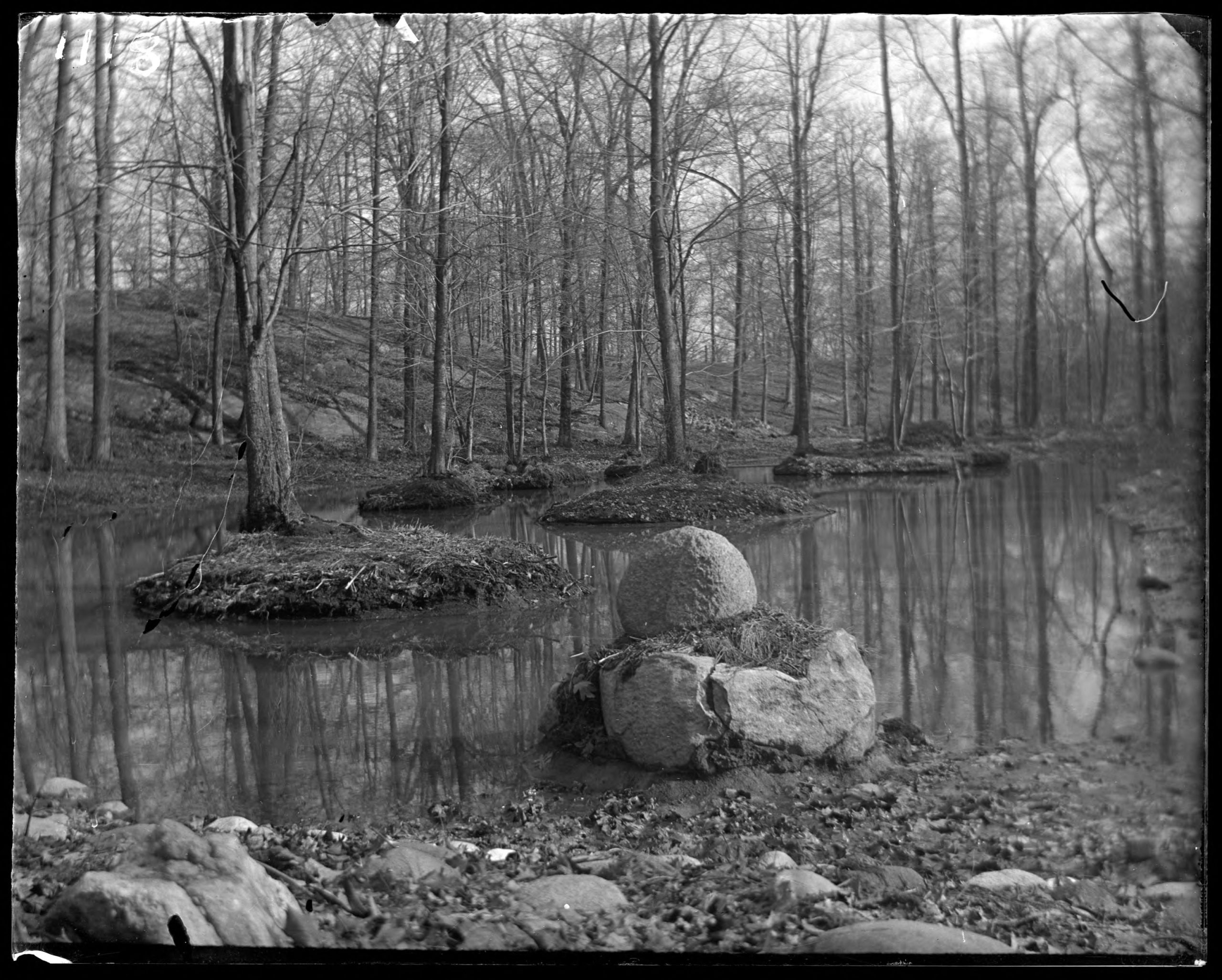 The Bronx River Bronx N.Y. undated c.1899 1902. Trees growing on small islands - New-York Historical Society