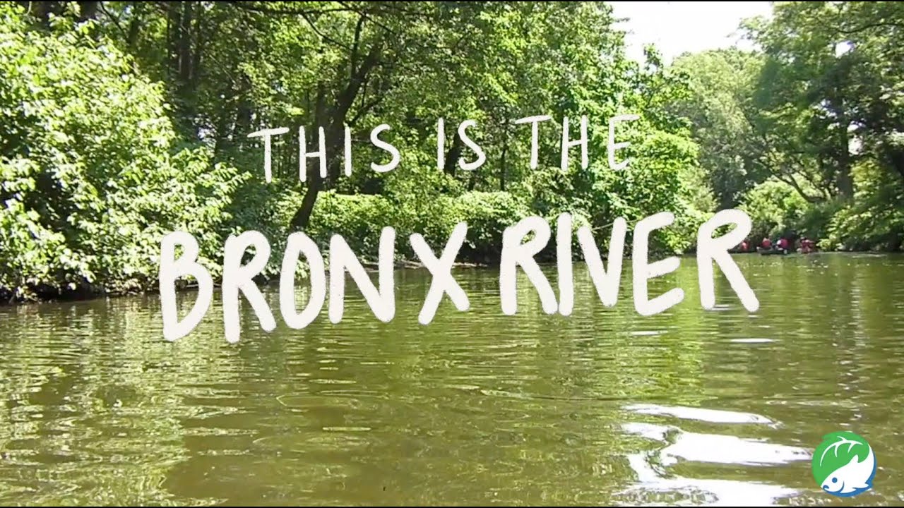 Bronx River Alliance: Who We Are!