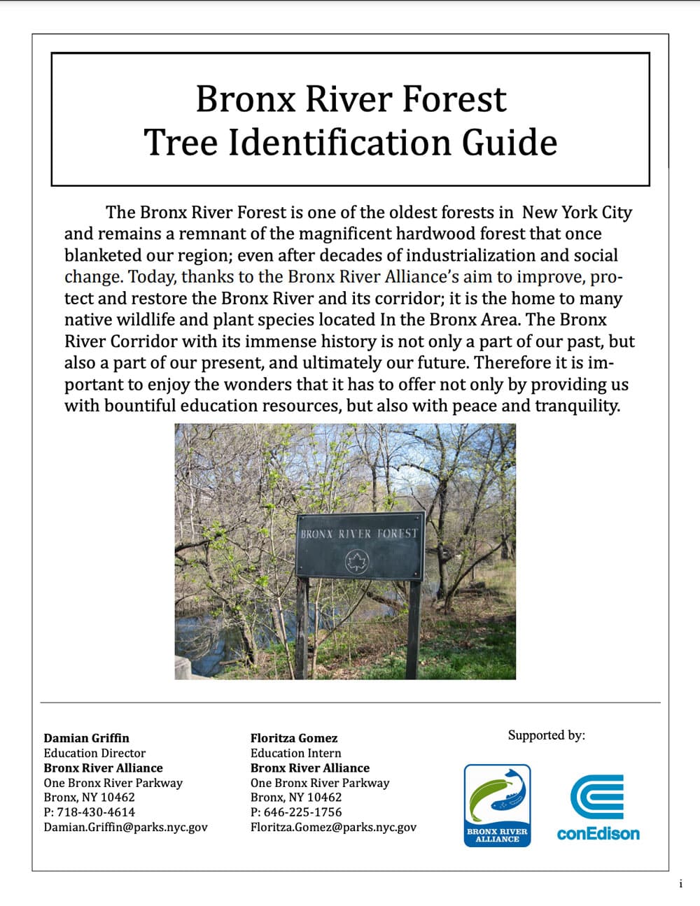 Bronx River Forest Tree Identification Guide