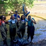 The Bronx River Alliance seeks an Ecology Assistant