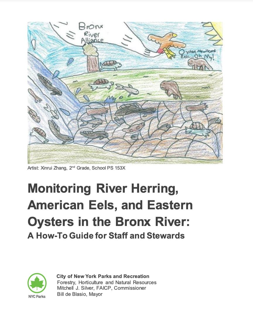 Bronx River Aquatic Monitoring How-to Guide