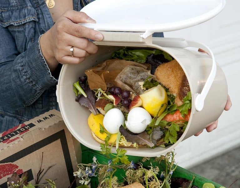 Public Food Scrap Drop Off at Starlight Park Bronx River Alliance