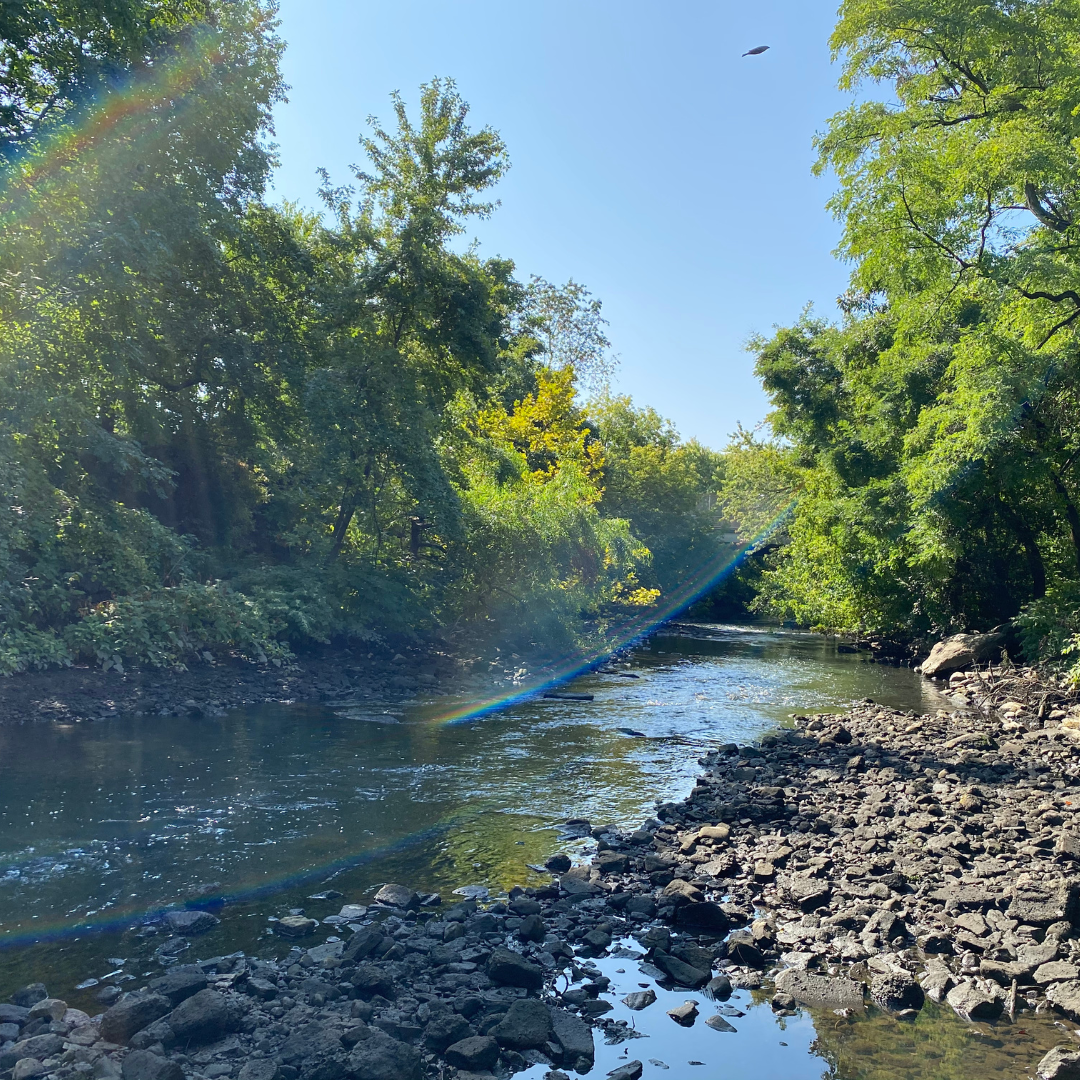 Climate Change and the Bronx River