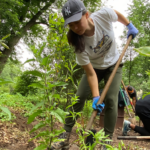 The Bronx River Alliance seeks a Conservation Crew Apprentice