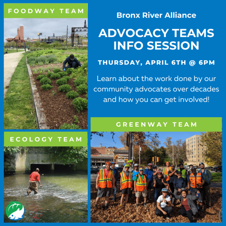 Bronx River Alliance Advocacy Teams Info Session Bronx River Alliance