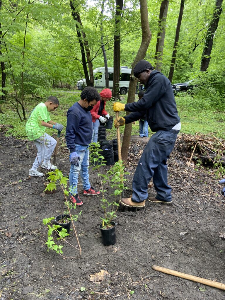 Tree Planting in the Bronx River Forest - Bronx River Alliance