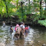 The Bronx River Alliance seeks a Science Research Mentor for the Environmental Education and Leadership for Students (EELS) Program!