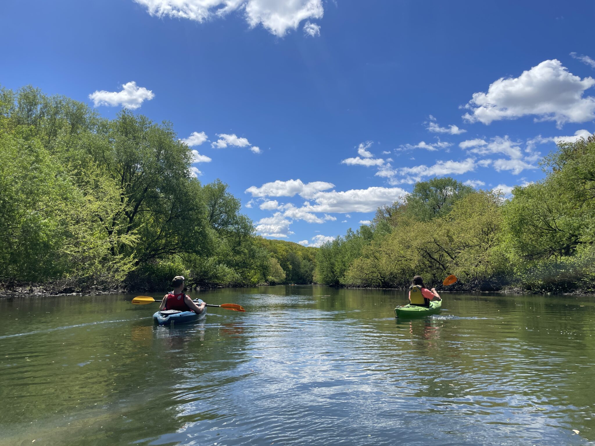 The Bronx River Alliance Seeks A Recreation Assistant!