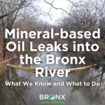 Oil Leaks into the Bronx River