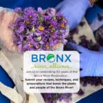 50+ Recipes for 50+ Years: a Bronx River Foodway Community Cookbook