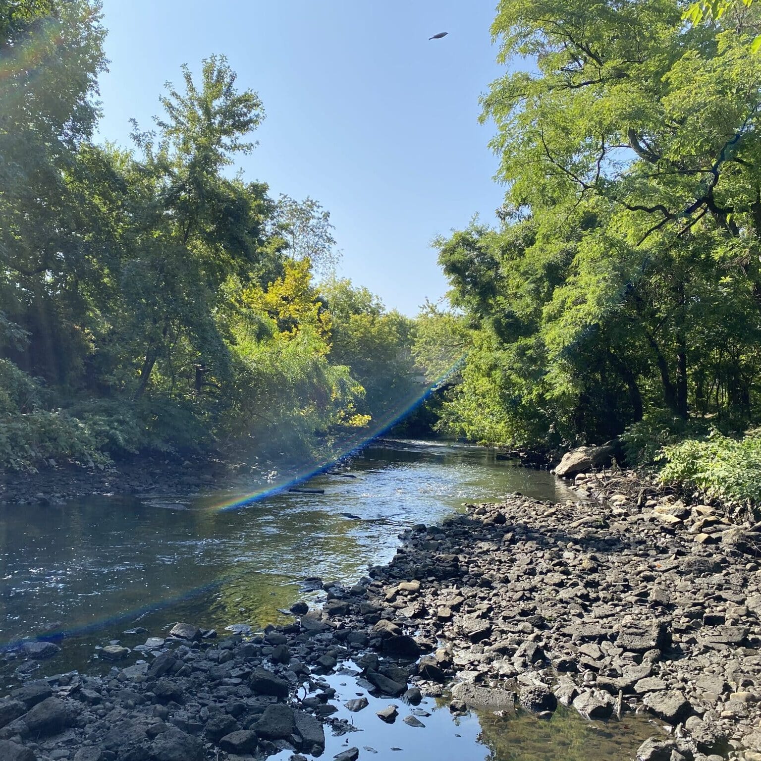 The Bronx River Alliance seeks a Director of Environmental Justice
