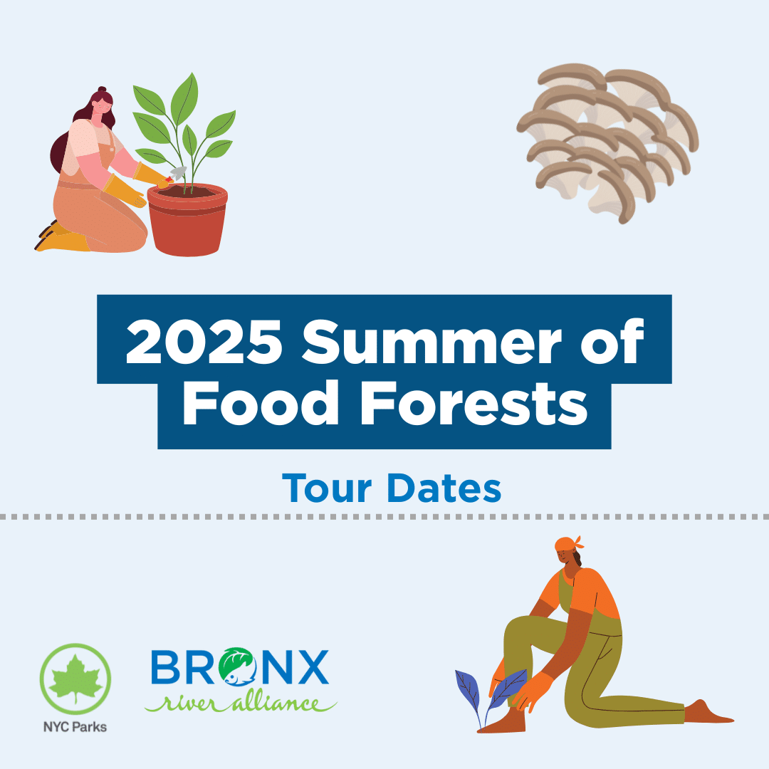 Summer of Food Forests Tour Dates
