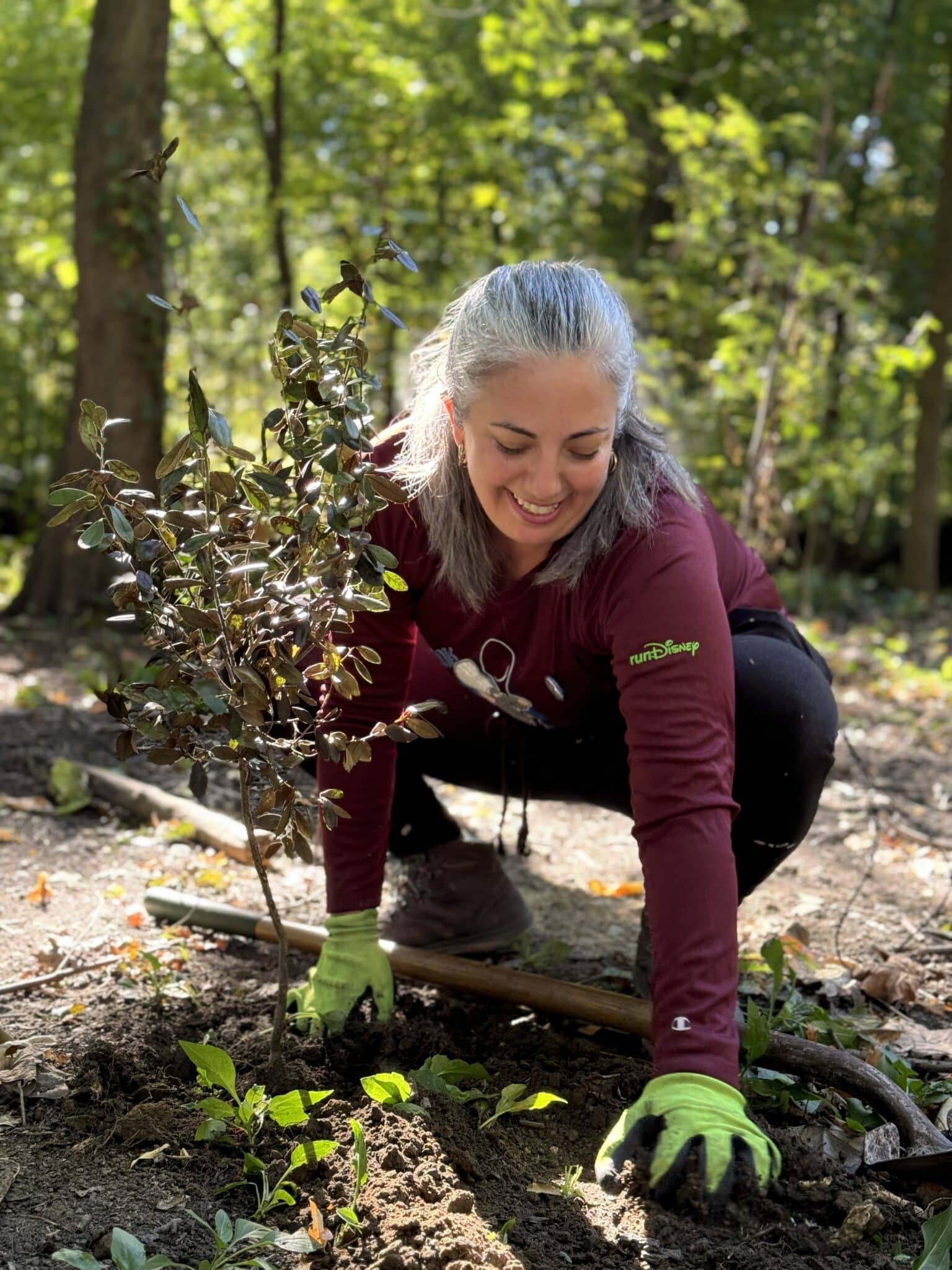 10-17-2024falltreeplanting