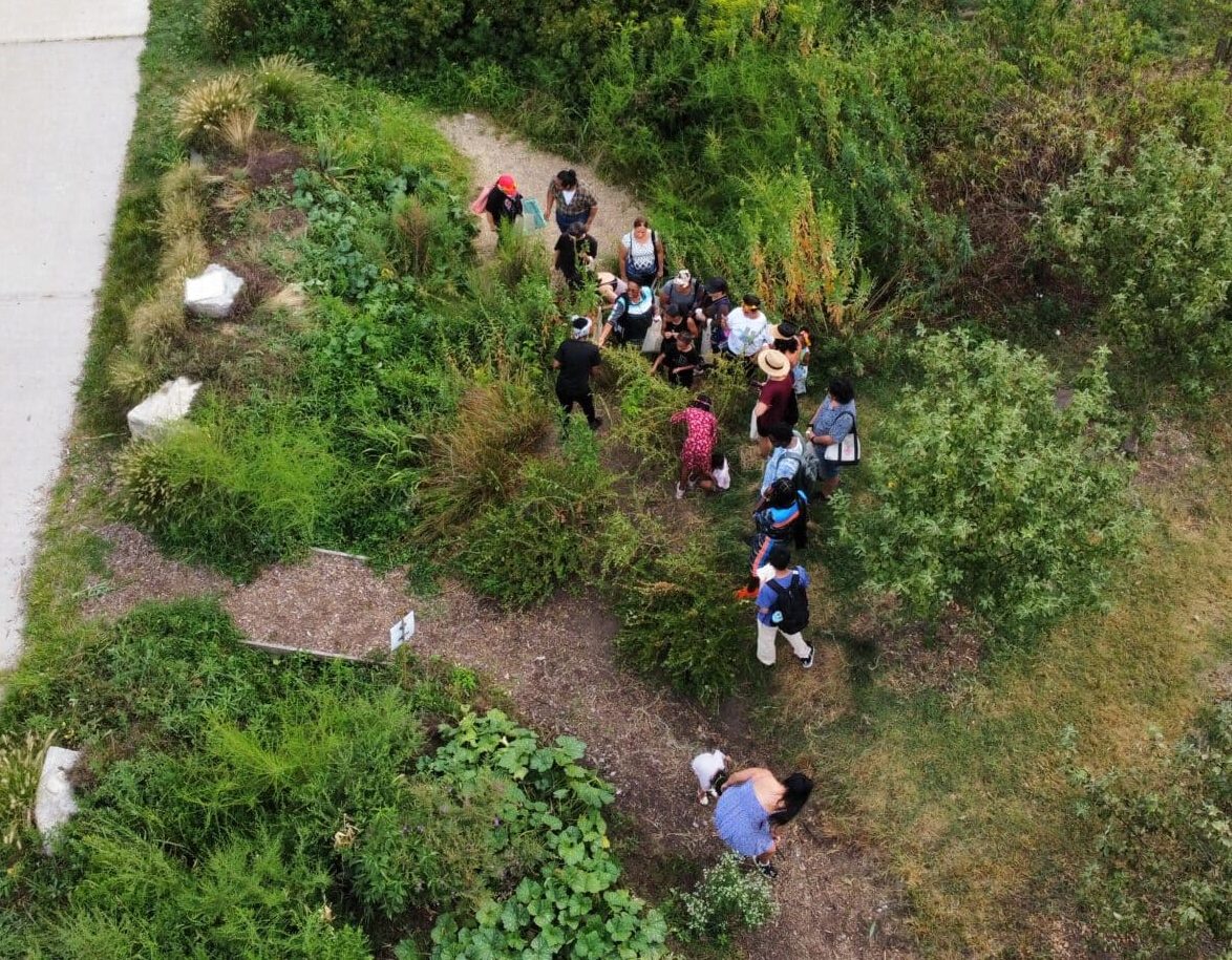 Foragers in the Foodway