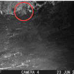 BX Stand Up – We Got An Otter In Our Backyard