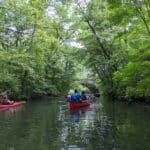 The Bronx River Alliance Seeks A Communications Coordinator