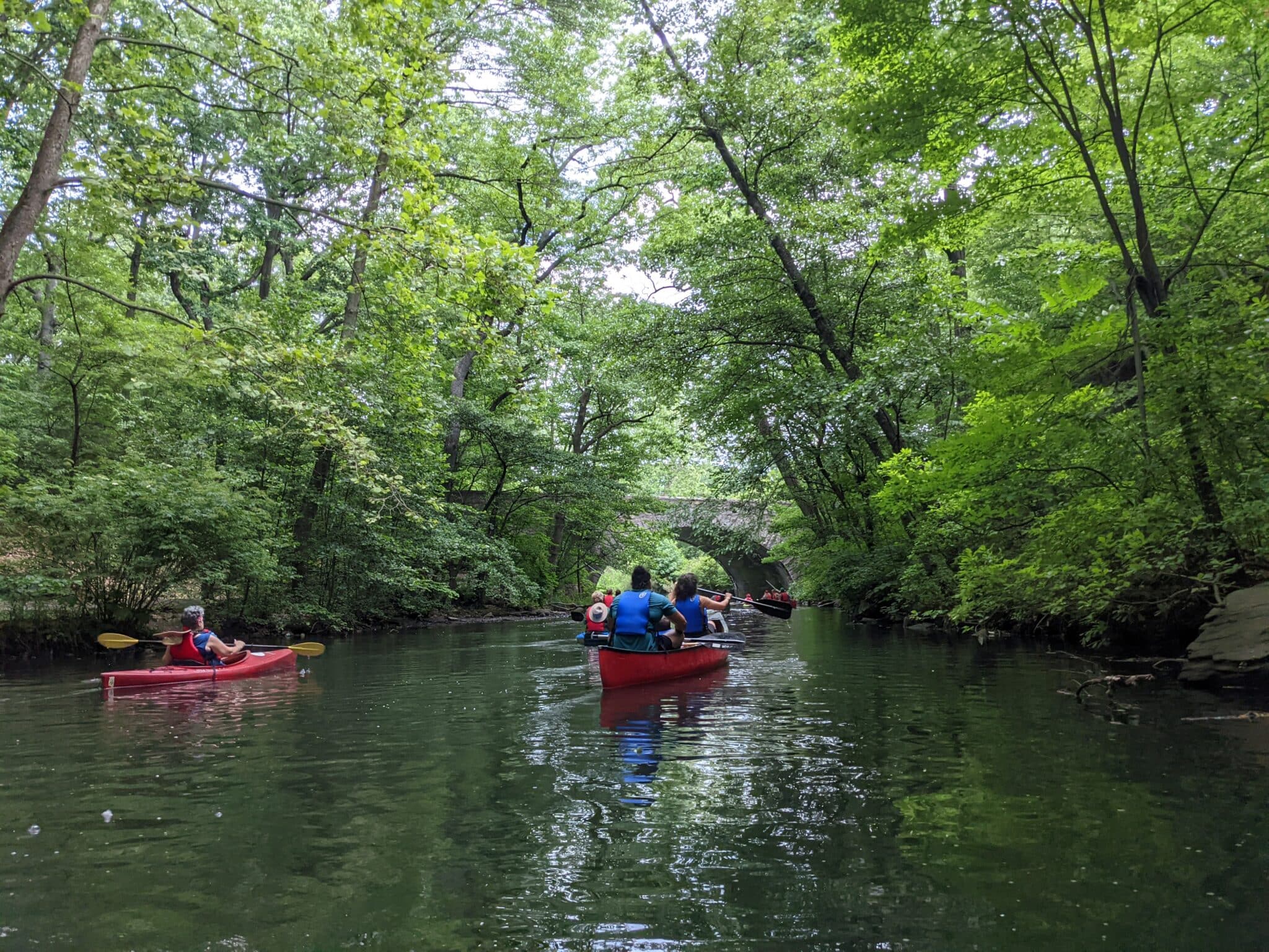 The Bronx River Alliance Seeks A Communications Coordinator