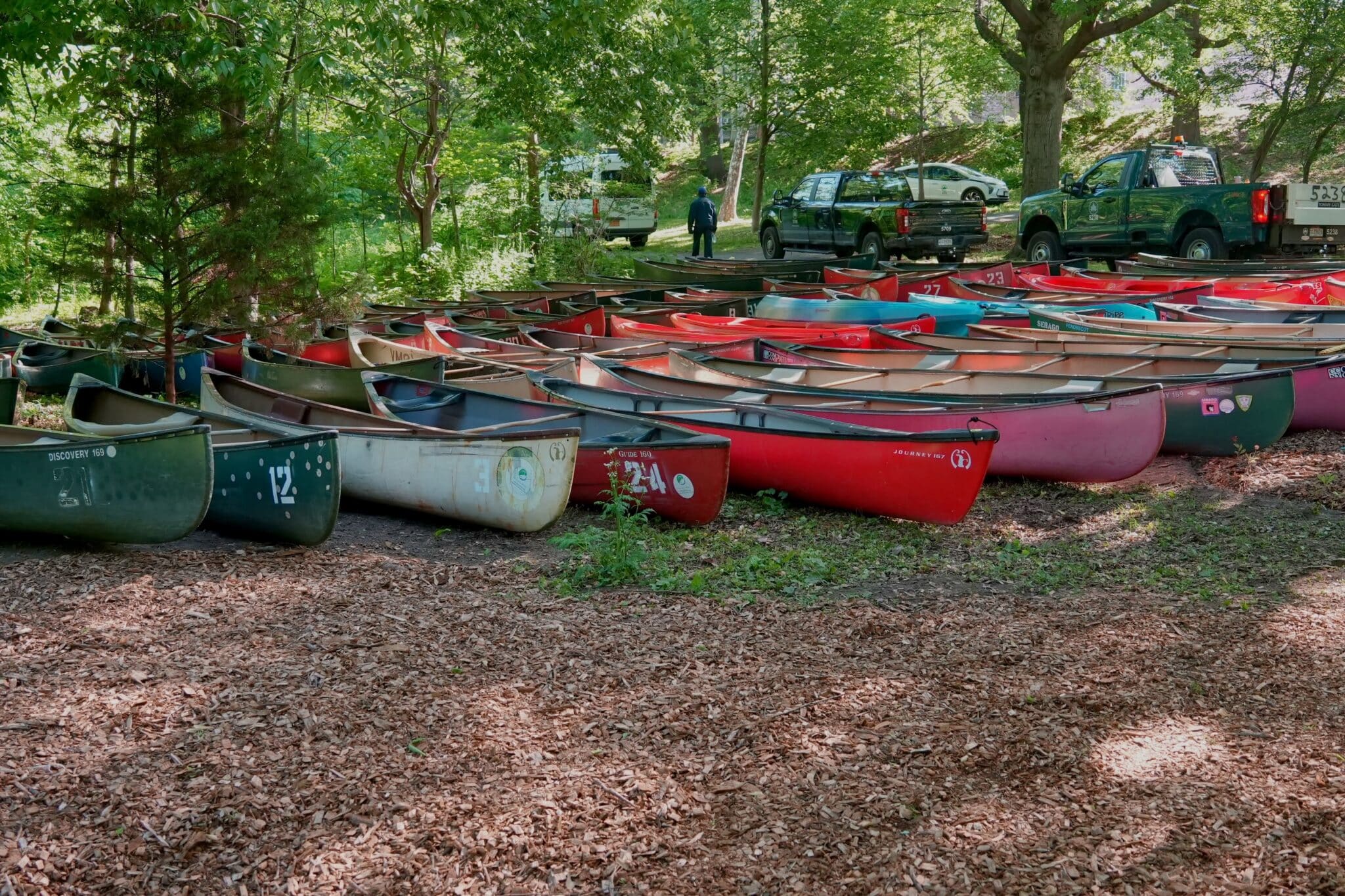 The Bronx River Alliance seeks an Executive Director